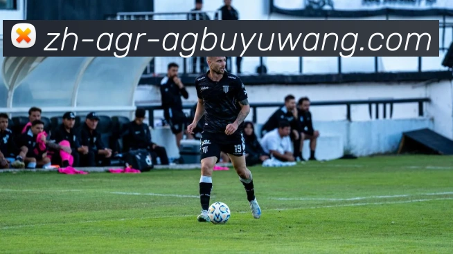 App Interface Preview