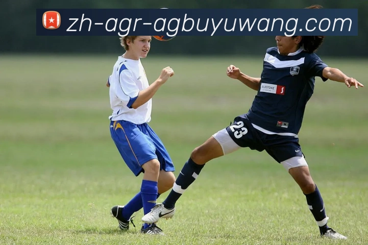 AG捕鱼王官网APP 封面图